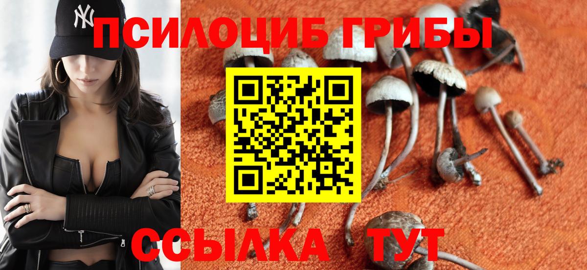 Кимры  Псилоцибиновые грибы Magic Shrooms  Вход с VPN 