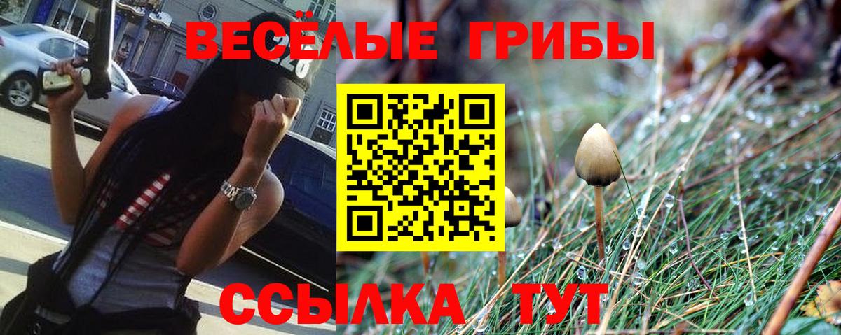 Галлюциногенные грибы прущие грибы Кимры